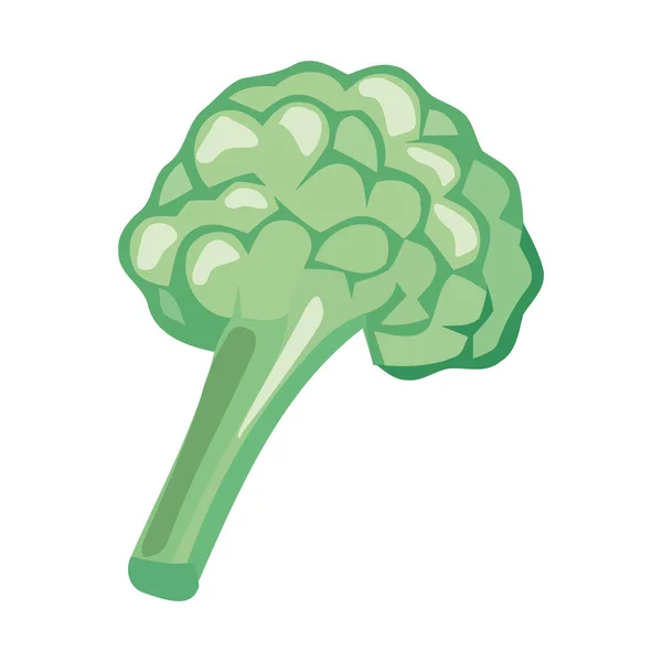 Vegetable Organic Eating Broccoli Icon Isolated — Stock Vector