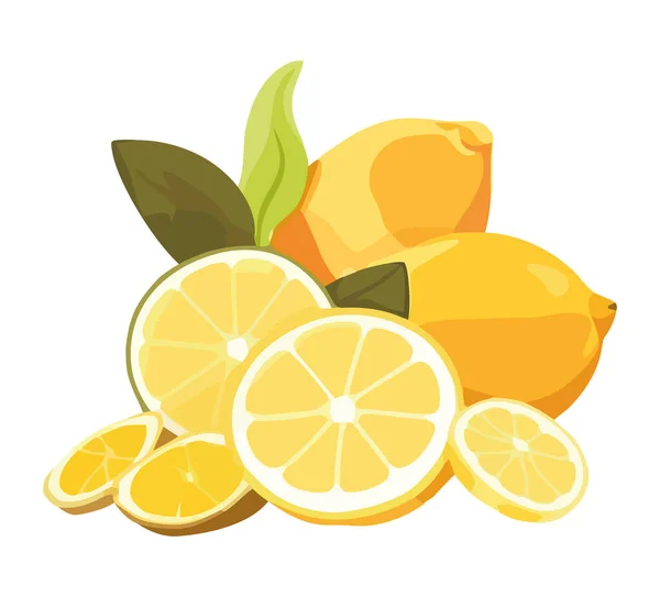 Nyskivad Citrusfruktsikon Isolerad — Stock vektor