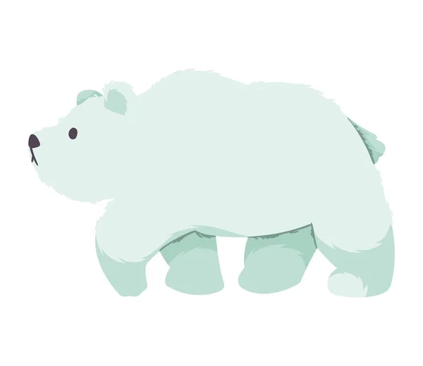 북극곰에 동물의 — 스톡 벡터