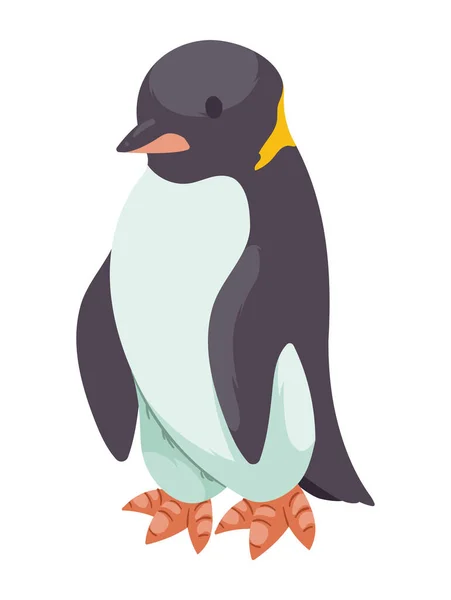 Carácter Criatura Animal Pingüino Ártico — Vector de stock