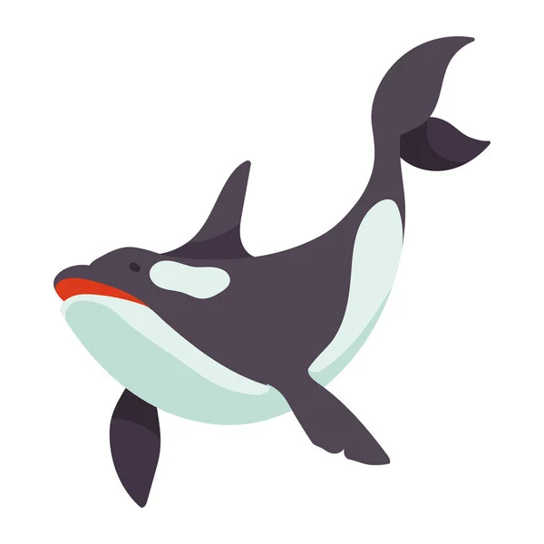 Orca Artic Dier Schepsel Karakter — Stockvector