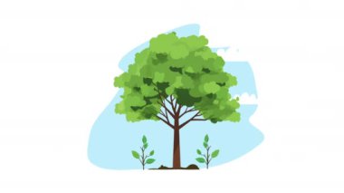 Ağaç bitkisi doğa animasyonu 4k video animasyonu