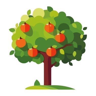 Ağaç dalındaki taze yeşil yapraklar izole edilmiş.