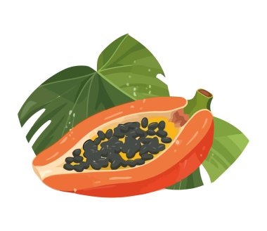 Taze papaya dilimi, izole edilmiş sağlıklı beslenmenin sembolü.
