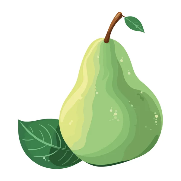 Φρέσκα Βιολογικά Φρούτα Αχλάδι Υγιεινή Διατροφή Απομονωμένη — Διανυσματικό Αρχείο