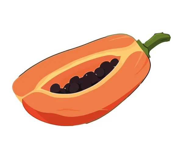 Legumes Orgânicos Frescos Frutas Maduras Alimentação Saudável Isolada — Vetor de Stock