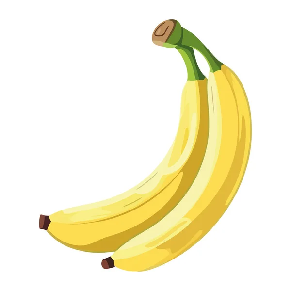 Świeży Organiczny Banan Zdrowa Wegetariańska Przekąska Odizolowana — Wektor stockowy