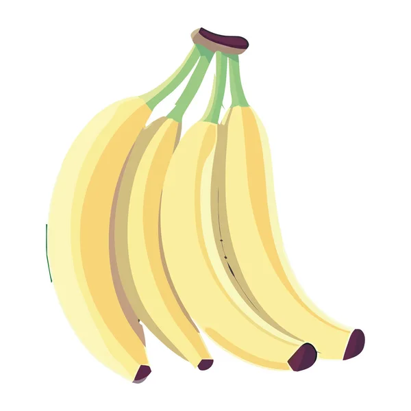 Свежий Органический Банан Здоровые Вегетарианские Закуски Изолированы — стоковый вектор