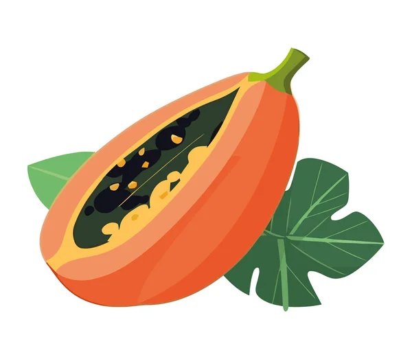 Sappige Papaya Plak Symbool Van Gezond Eten Geïsoleerd — Stockvector