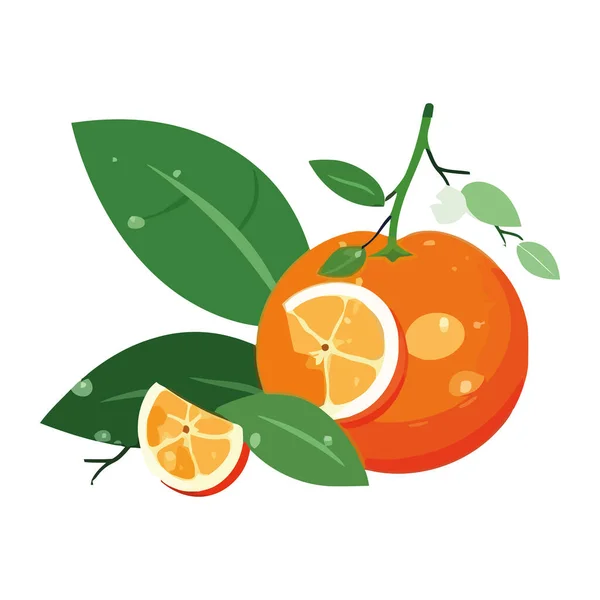 Saftige Zitrusfrüchte Symbolisieren Gesunde Sommerernährung — Stockvektor