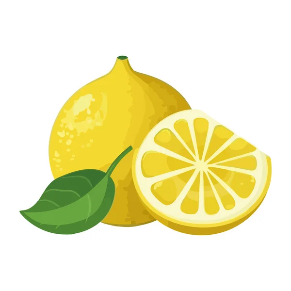 Potongan Jeruk Juicy Segar Dan Lemon Kuning Matang Terisolasi - Stok Vektor
