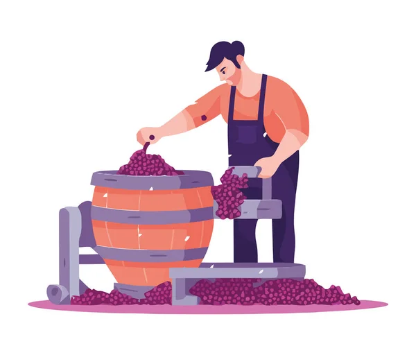 Mannen Die Wijngaarden Werken Biologische Druiven Oogsten Geïsoleerd — Stockvector