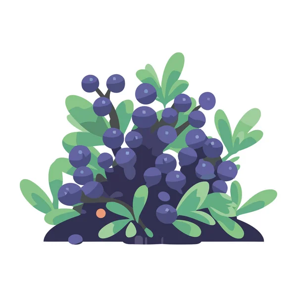 Свежие Зеленые Листья Фиолетовые Цветы Цветут Изолированно — стоковый вектор