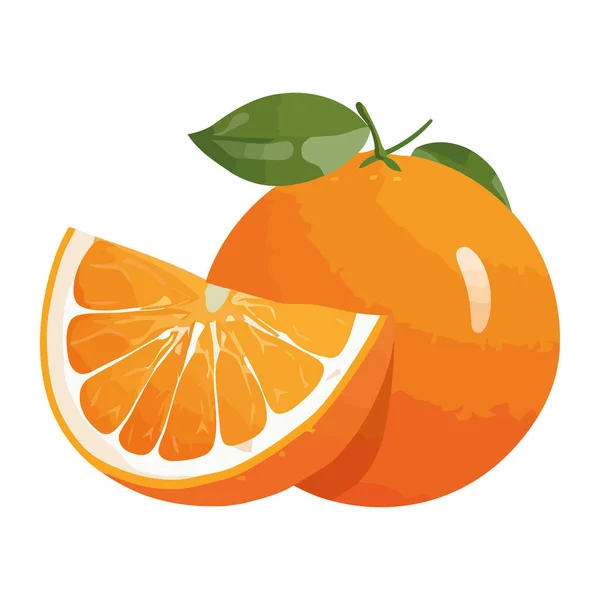 Čerstvé Citrusové Plody Symbolizují Zdravé Léto Jíst Izolované — Stockový vektor