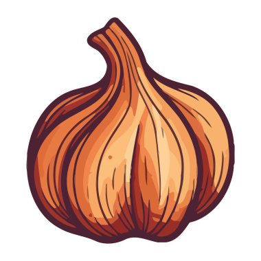 Taze organik sarımsak sağlıklı vejetaryen bileşeni izole edildi.