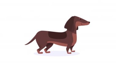 Şirin köpek av köpeği maskotu animasyon 4k video animasyonu