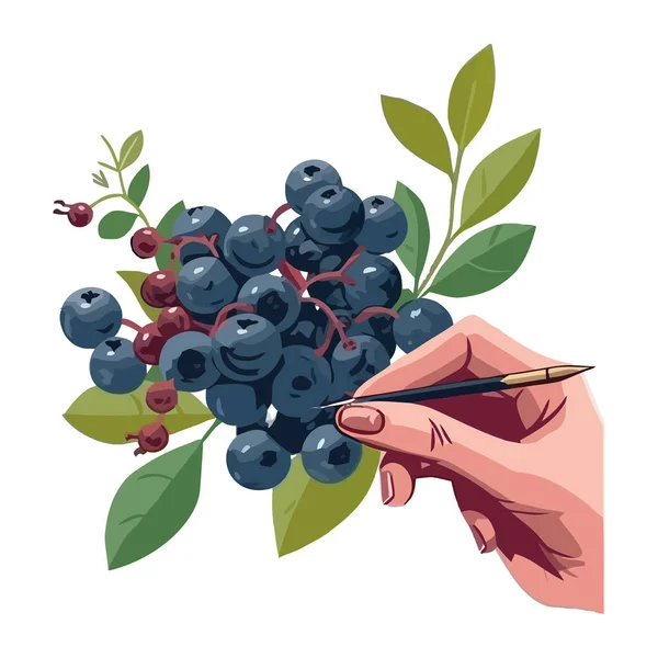 Mano Que Sostiene Fruta Madura Baya Fresca Orgánica Aislada — Vector de stock