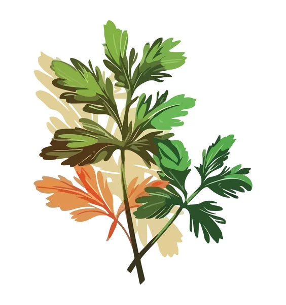 Feuilles Vertes Fraîches Sur Rameaux Symbole Croissance Isolées — Image vectorielle
