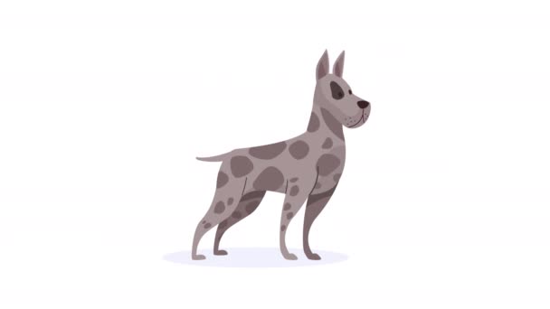 かわいい犬マスコット動物アニメ4Kビデオアニメ — ストック動画