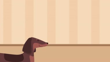 Şirin köpek av köpeği maskotu animasyon 4k video animasyonu