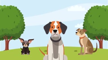 Park animasyonunda üç köpek. 4k video animasyonu.