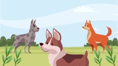 Park animasyonunda üç köpek. 4k video animasyonu.