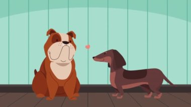 Sevimli köpekler karakter çifti animasyon 4k video animasyonu