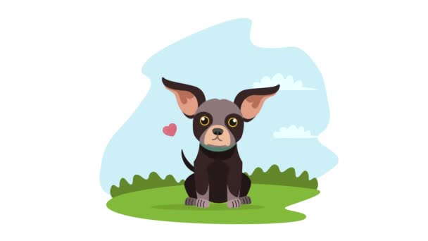 Χαριτωμένο Chihuahua Σκυλί Κινουμένων Σχεδίων Μασκότ Βίντεο Κινουμένων Σχεδίων — Αρχείο Βίντεο