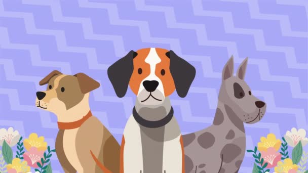 Три Собаки Домашні Тварини Квітами Анімація Відео Анімовані — стокове відео