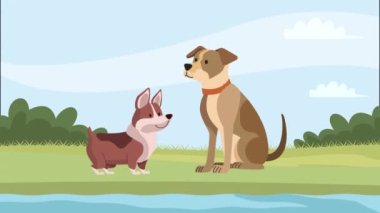 Sevimli köpekler karakter çifti animasyon 4k video animasyonu