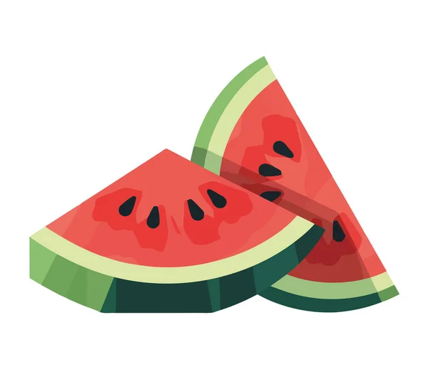 Saftige Wassermelonenscheibe Perfekte Sommerliche Erfrischungsjause Isoliert — Stockvektor