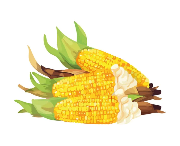 Świeża Grillowana Kukurydza Ikonie Kolby Izolowane — Wektor stockowy