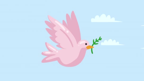 Roze Duif Vliegen Met Olijftak Animatie Video Geanimeerd — Stockvideo