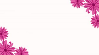 Pembe çiçekler bahçe çerçeve animasyonu 4k video animasyonu