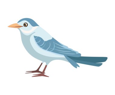 Mavi tüylü kanatlı şirin martı izole edilmiş.