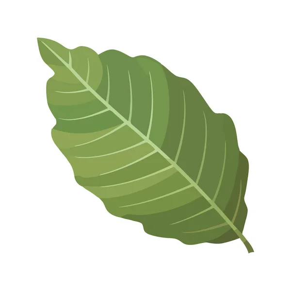 緑の葉は自然成長のアイコンを象徴する — ストックベクタ