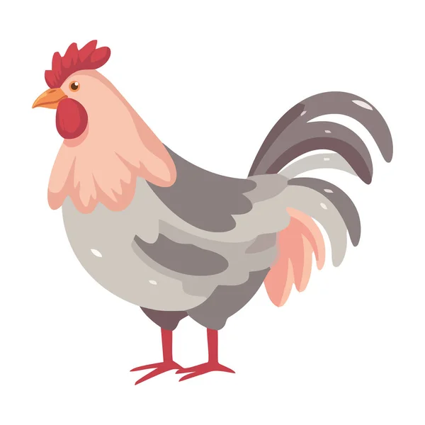 Young Rooster Standing White Background Icon Isolated — Stock Vector