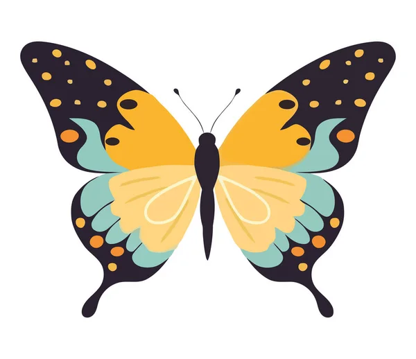 Papillon Dans Icône Motif Vectoriel Multicolore Lumineux Isolé — Image vectorielle