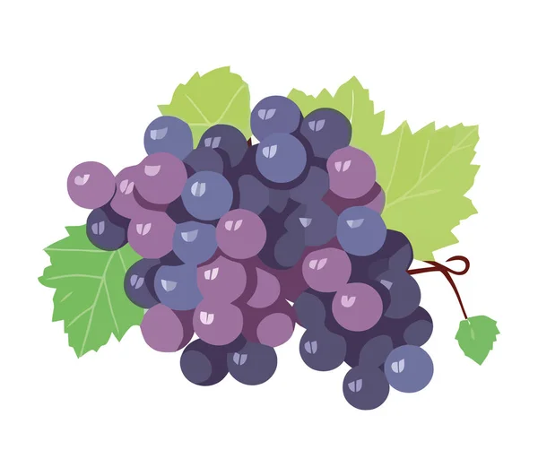 成熟的葡萄束与多汁的紫色浆果图标隔离 — 图库矢量图片