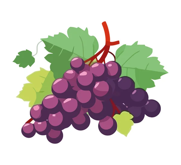 Соковитий Фіолетовий Виноград Висить Ікони Гілки Ізольовані — стоковий вектор