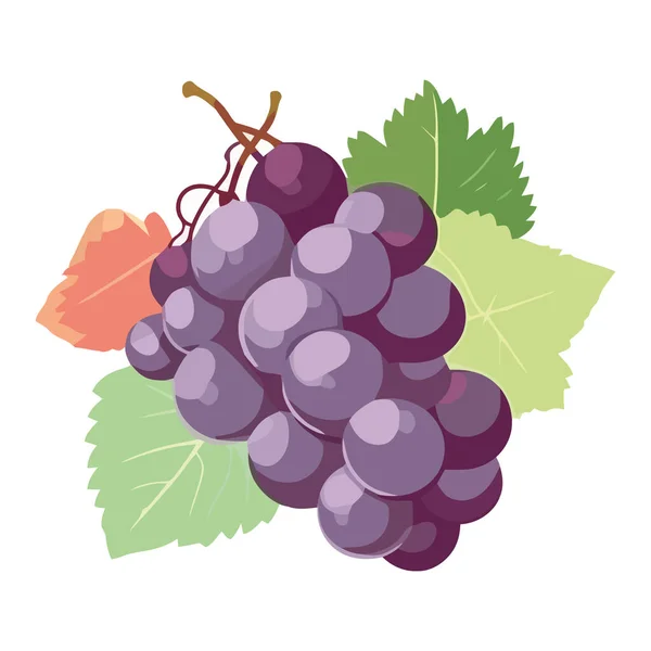 Ripe Grape Bunch Fresh Nature Fruit Abundance Icon Isolated — Stock Vector