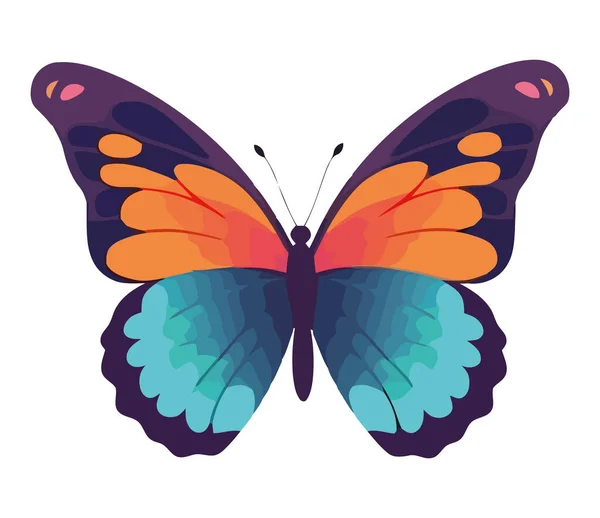 Papillon Aux Couleurs Vives Volant Libre Isolé — Image vectorielle