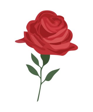 Romantik aşk doğada çiçek açar güzellik ikonu izole olur