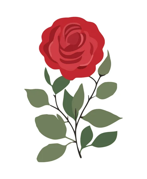 Romantic Flower Symbolizes Love Icon Isolated — Stock Vector