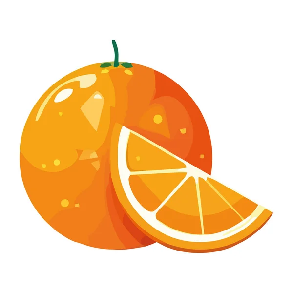 Juicy Citrus Fruits Symbolize Healthy Summer Refreshment Isolated — Stock Vector
