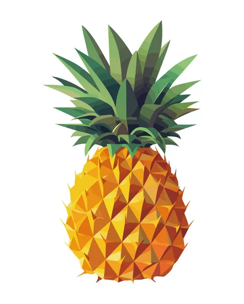 Ripe Pineapple Slice Fresh Tropical Forest Isolated — Stock Vector