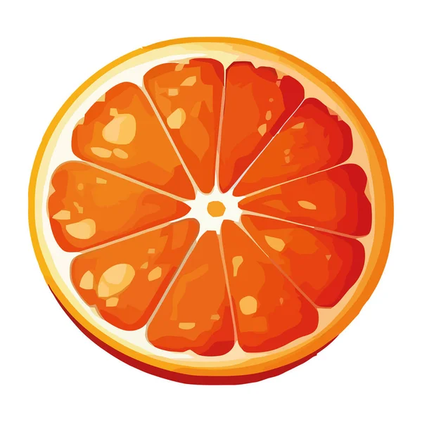 Čerstvé Citrusové Plátky Zralé Šťavnaté Dobroty Izolované — Stockový vektor