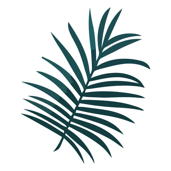 Tropische Palmwedel Ikone Isoliert — Stockvektor