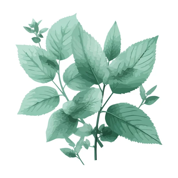 Frische Grüne Blätter Auf Isolierten Ästen Icon Isoliert — Stockvektor