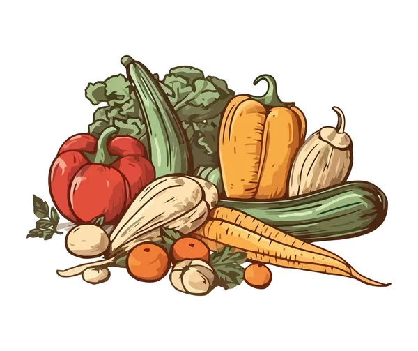 健康烹调用新鲜蔬菜图标隔离 — 图库矢量图片